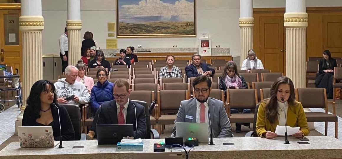阿纳·罗宾逊, 科罗拉多州公民自由联盟的高级政策战略家在州议会大厦举行的众议院司法委员会听证会上作证.